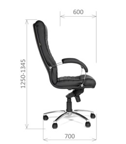 Офисное кресло CHAIRMAN 480 Экокожа премиум черная в Хабаровске - предосмотр 2
